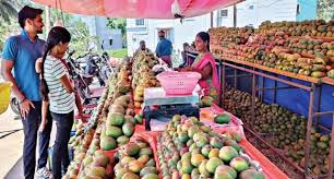 கிருஷ்ணகிரியில் சாலையோர கடைகள் மூலம் மகளிருக்கு ‘கைகொடுக்கும்’ மாம்பழ வர்த்தகம்