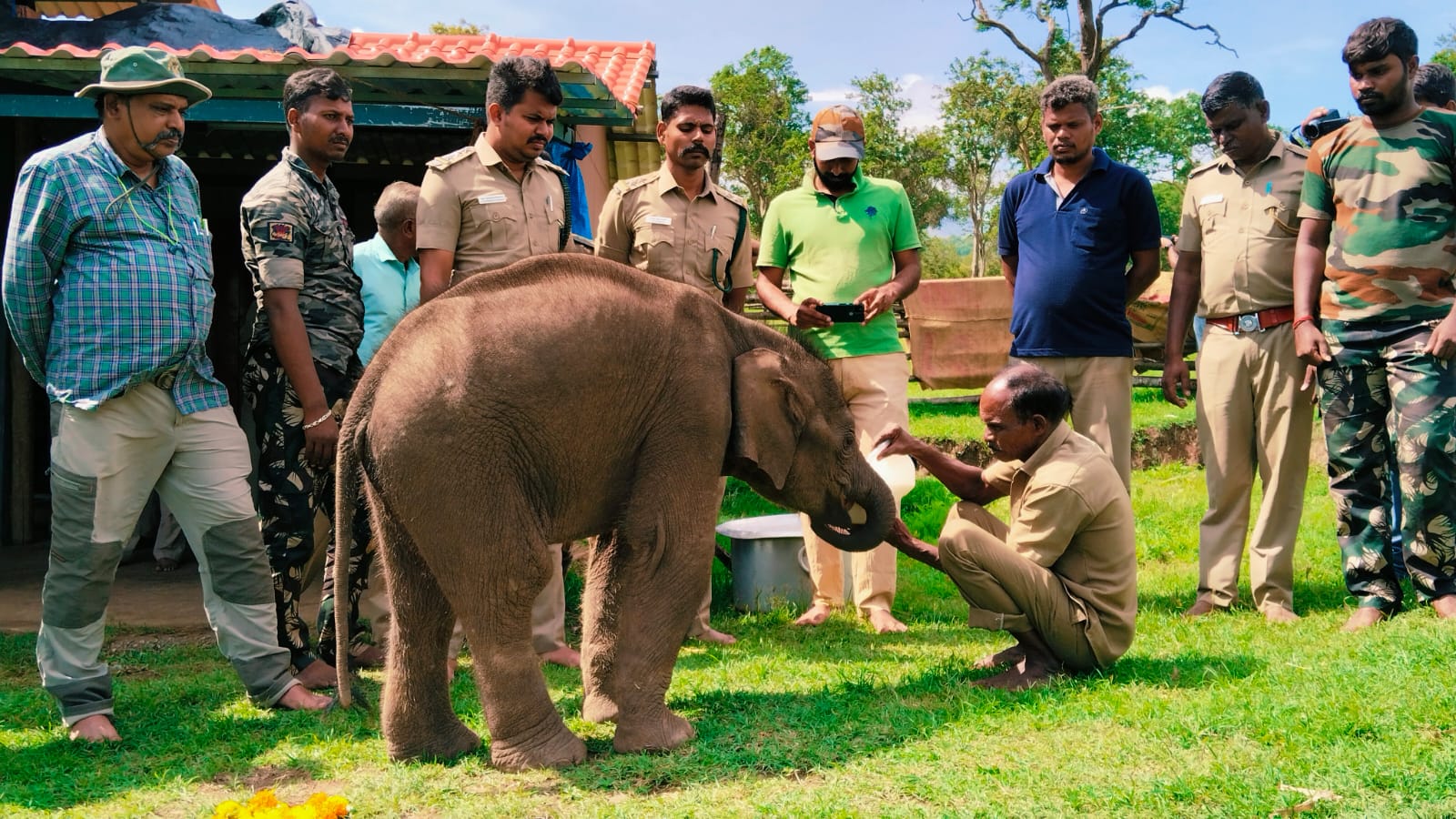 கோவை வனச் சரகத்தில் வனப்பகுதியில் யானைக் கூட்டத்திலிருந்து ஆண் யானை குட்டி கூட்டத்தை விட்டு தனியாக வந்துவிட்டது