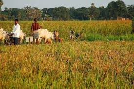 விவசாயிகள் தெரிந்துகொள்ள வேண்டிய நாட் குறிப்புகள்