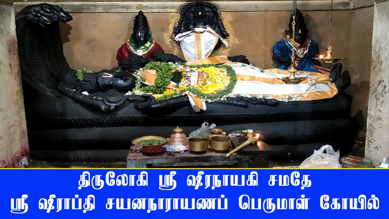 எங்கள் ஊர் 'திருலோக்கி' சிறப்பு