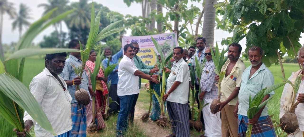 சேத்துப்பட்டு அருகே தொண்டு நிறுவனம் சார்பில் விவசாயிகளுக்கு தென்னங்கன்று