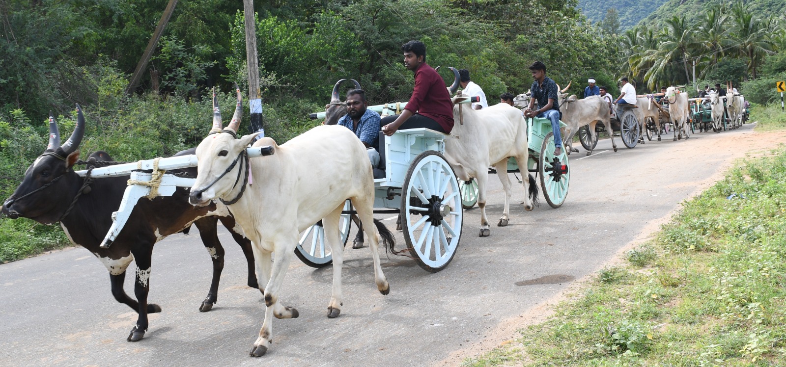 சாகுபடி செழிக்க மாட்டு வண்டி பயணம்