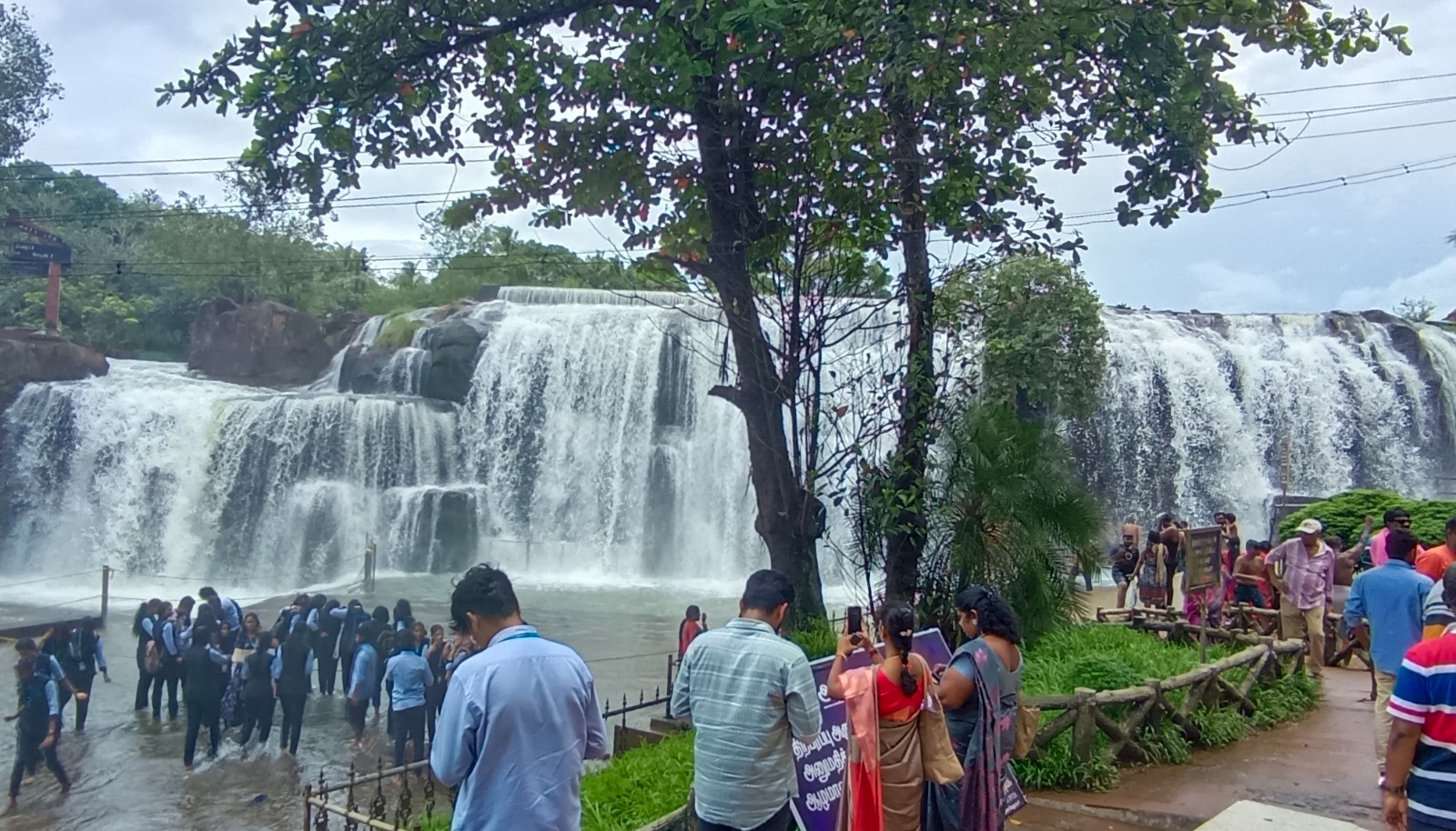 மலையோர பகுதிகளில் மழை தீவிரம் திற்பரப்பு அருவியில் வெள்ளப்பெருக்கு