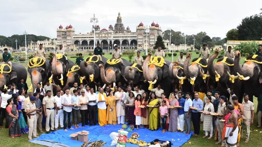 மைசூர் அரண்மணையில் சதுர்த்தி விழா 14 தசரா யானைகளுக்கு சிறப்பு பூஜை