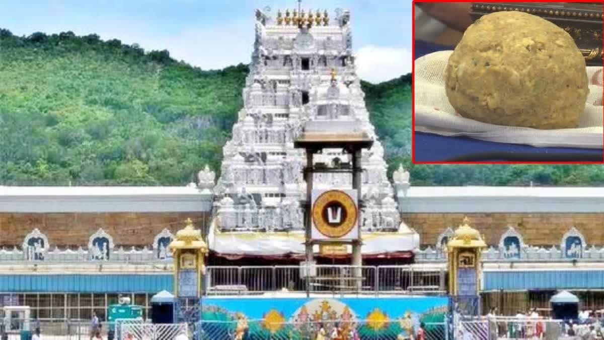 திருப்பதி லட்டு சாப்பிடலாம்! திருமலை தேவஸ்தானம் 'ஓகே'