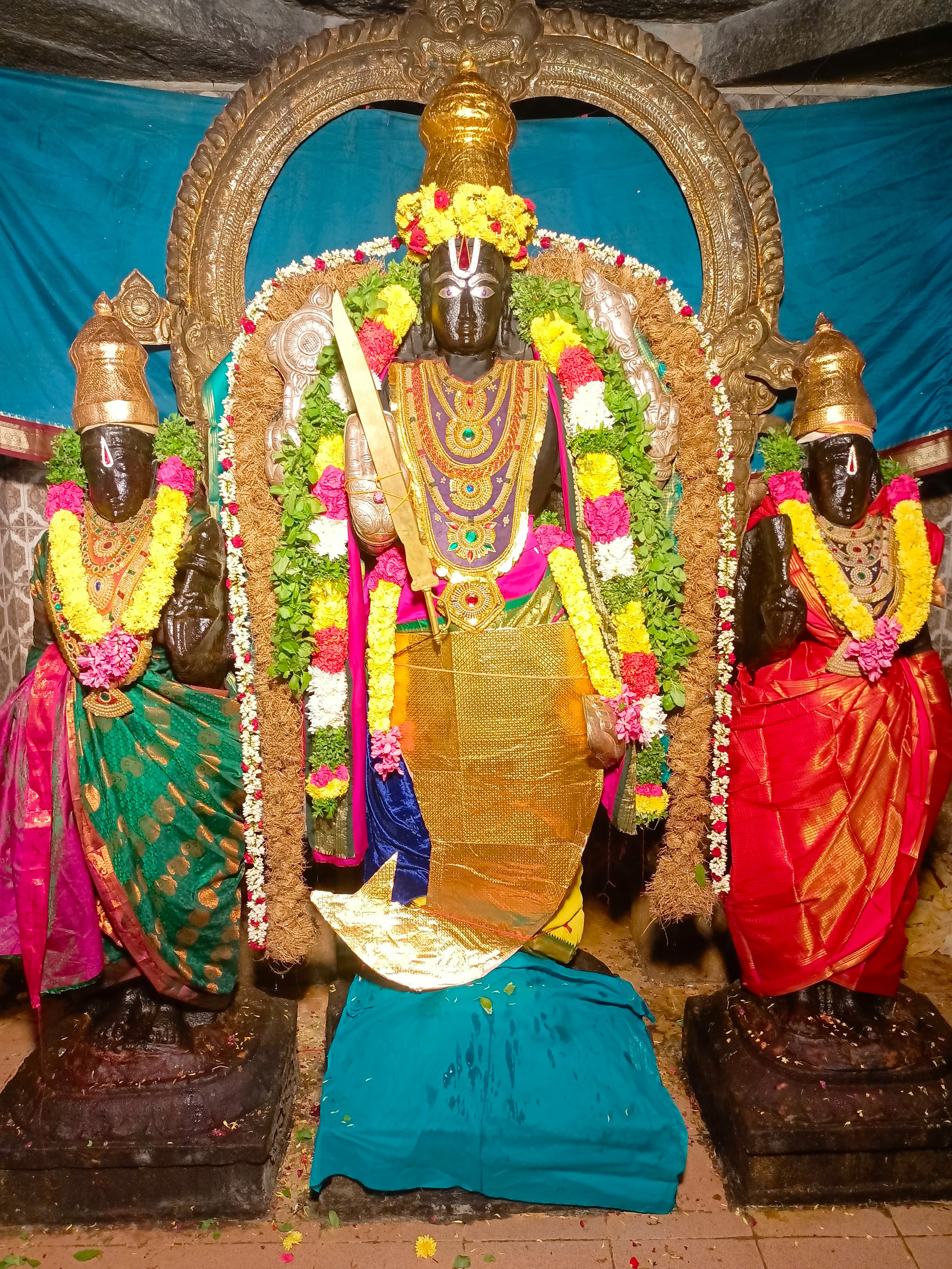 கோலியனூர் ஶ்ரீவரதராஜ பெருமாள் மச்ச அவதாரத்தில் அருள்பாலிப்பு!