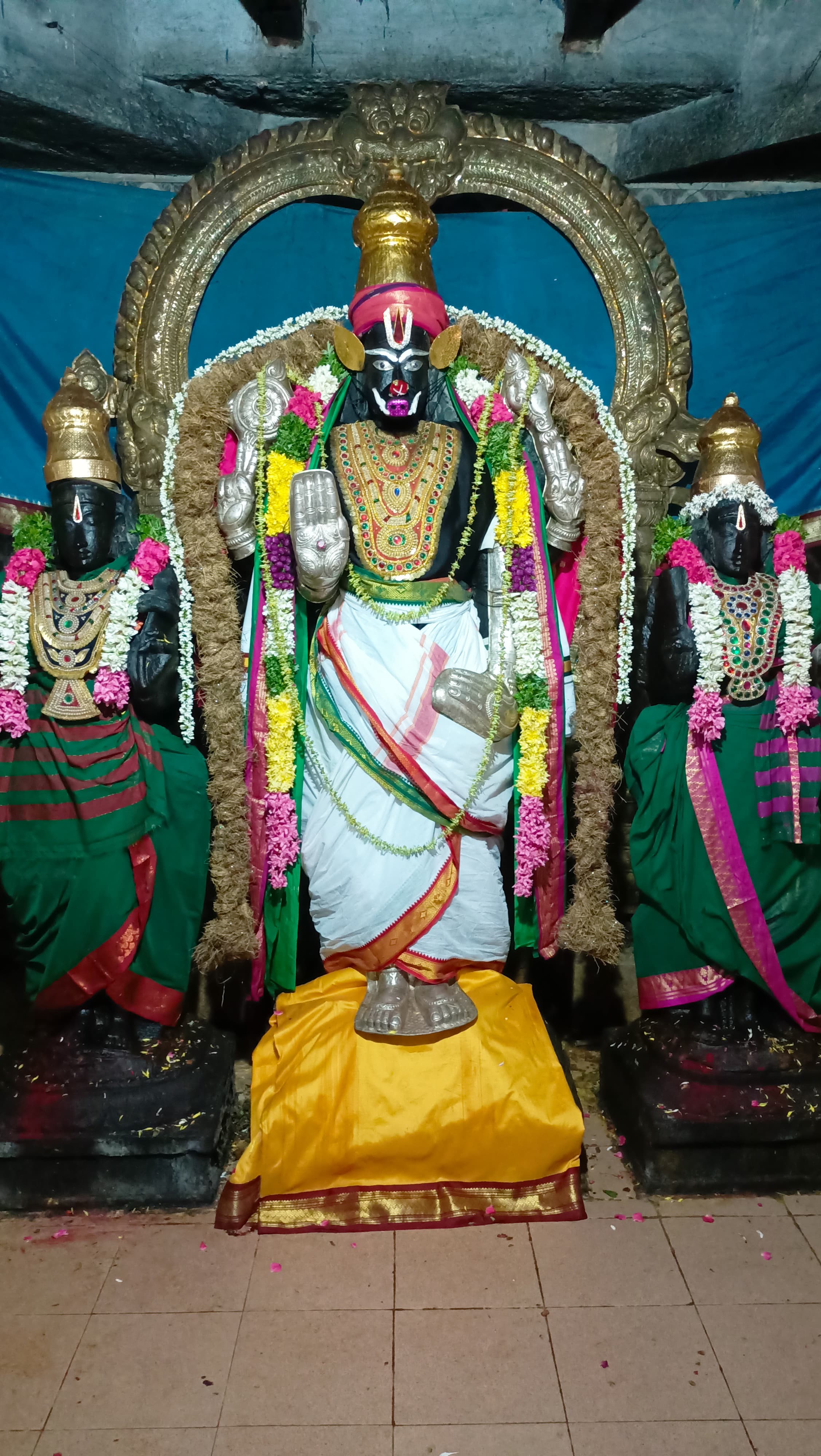 கோலியனூர் ஸ்ரீ வரதராஜ பெருமாள் கூர்ம அவதாரத்தில் பக்தர்களுக்கு அருள் பாலிப்பு!