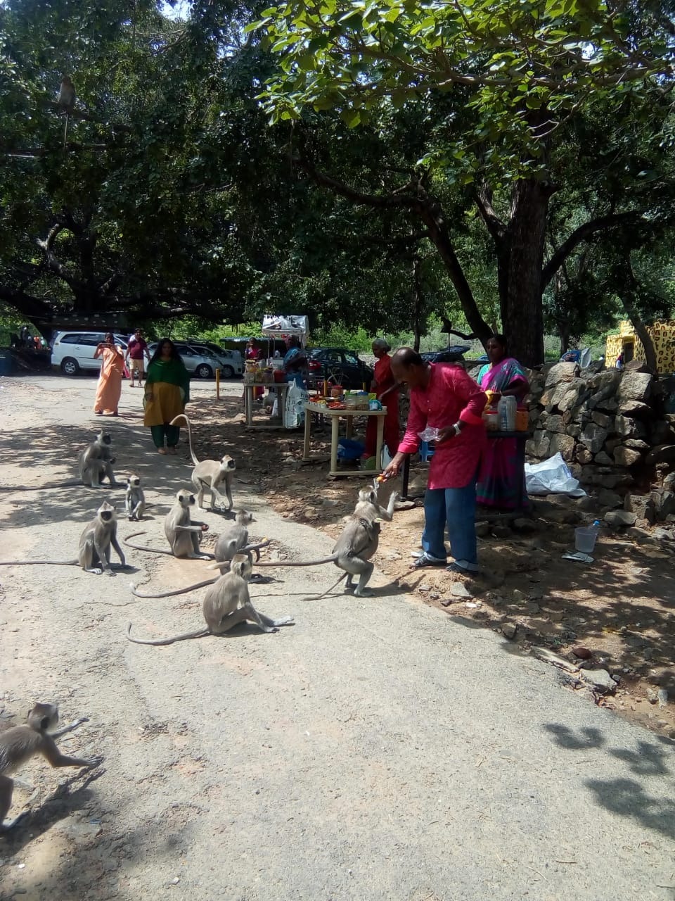 பாபநாசம் டூ அகஸ்தியர் அருவி  சாலை சீரமைக்க ஐகோர்ட் உத்தரவு