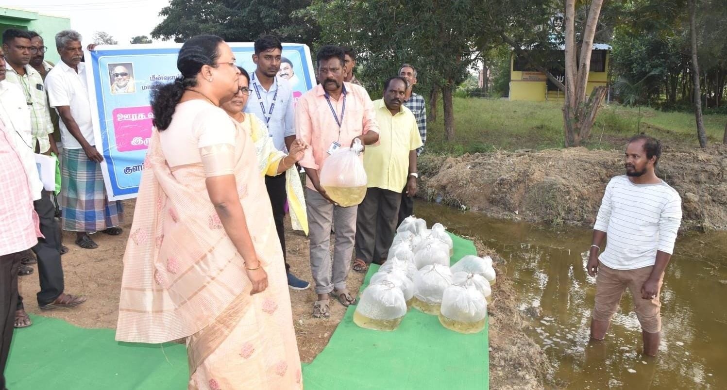 சிவராமதாங்கல் ஏரியில் 10 ஆயிரம் மீன் குஞ்சுகள் விடும் பணி: ஆட்சியர் தொடங்கி வைப்பு!