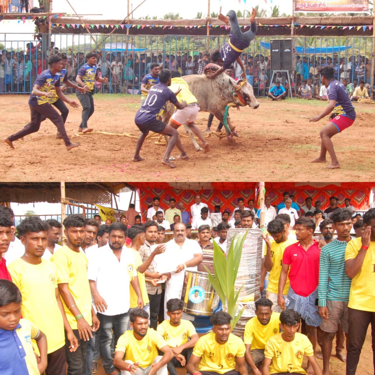 பாலமேடு அருகே வடமாடு மஞ்சுவிரட்டு போட்டி - சிரிப்பாய்ந்த காளைகள், அடக்கிய வீரர்கள்