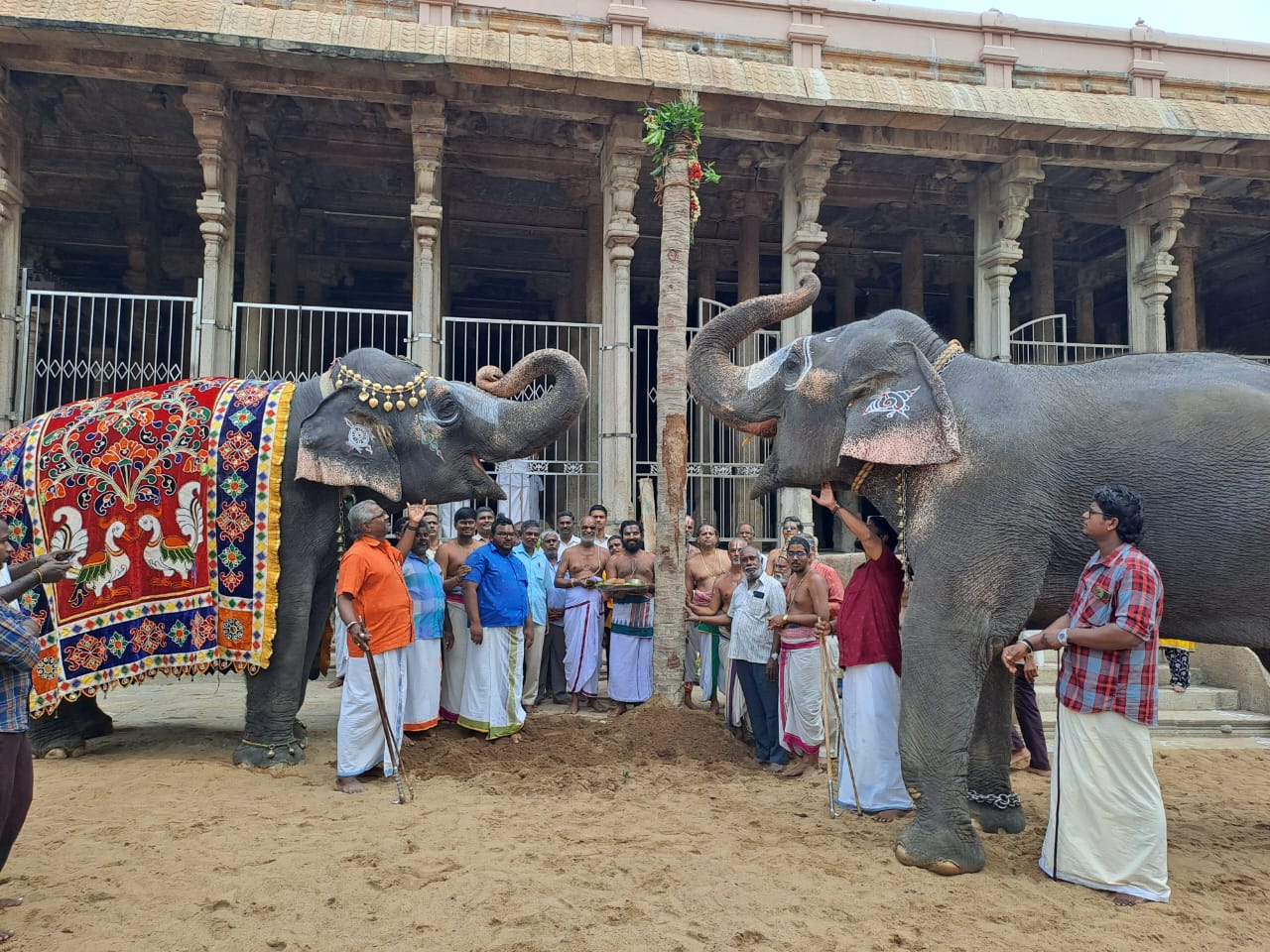 ஸ்ரீரங்கம் ரெங்கநாதர் கோவிலில்  வைகுண்ட ஏகாதசி முகூர்த்த கால்