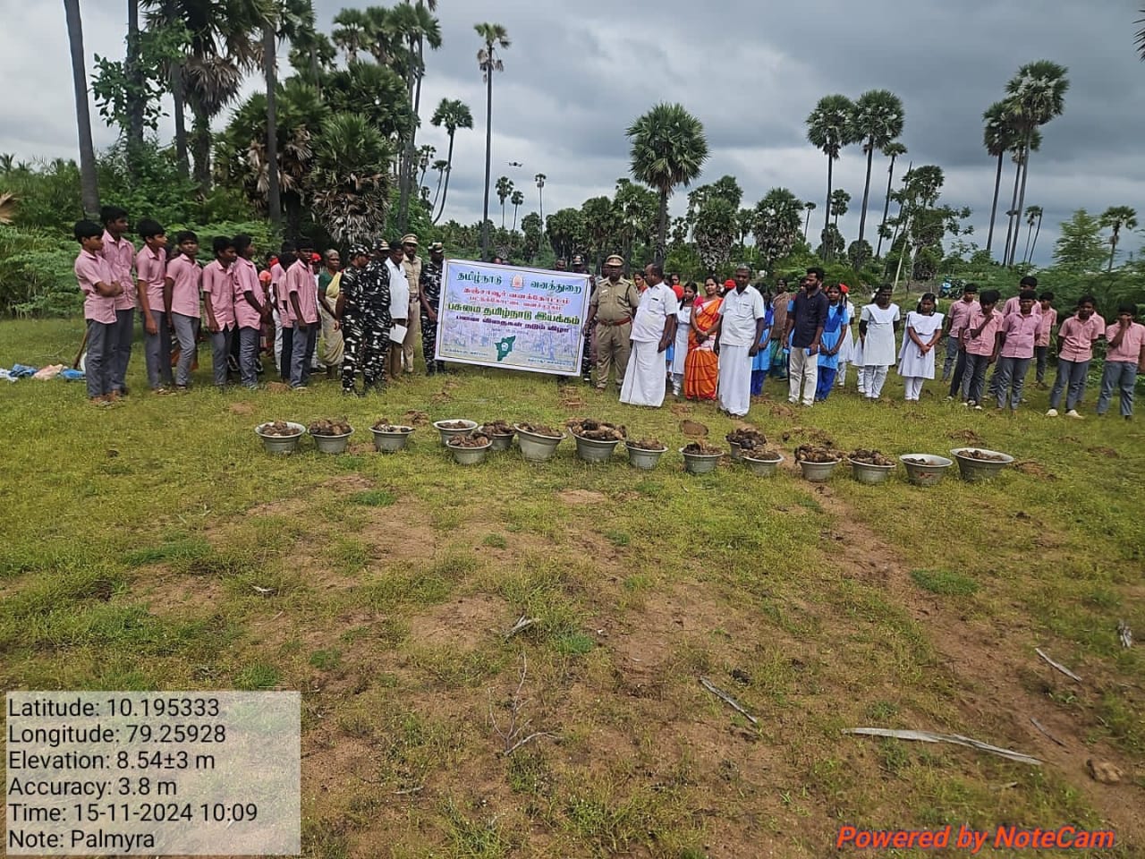 சேதுபாவாசத்திரம் அருகே வனத்துறை சார்பில் பனை விதைகள் நடும் விழா