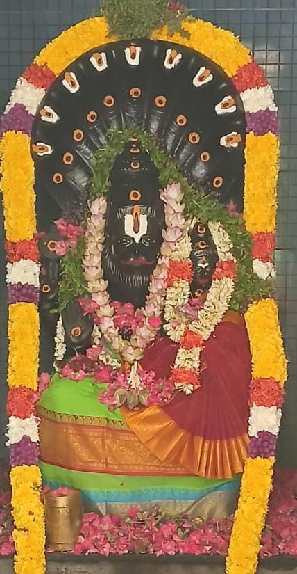ஸ்ரீ நரசிம்மர் ஜெயந்தி விழா........