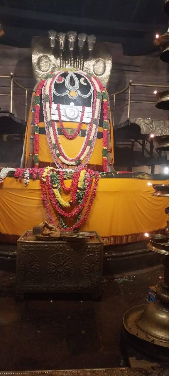 தஞ்சை பெரியகோவில் சித்திரை பெருவிழா
