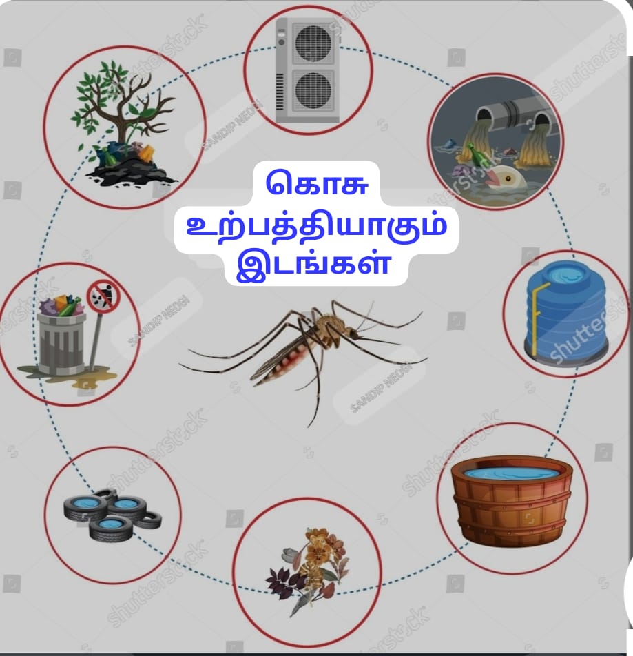 தேசிய டெங்கு தினம் – ஒரு விழிப்புணர்வு நாள்