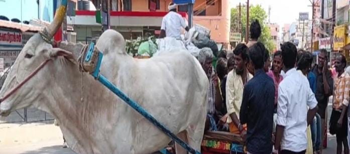 திருவண்ணாமலை மே 12 சித்ரா பௌர்ணமி கூட்ட நெரிசல்