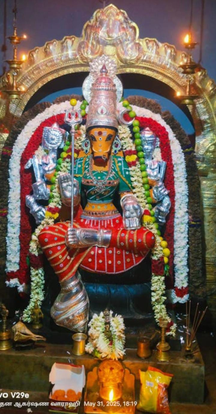 ஸ்ரீ தன ஆகர்ஷண வாராஹி அம்பாள் சந்தன காப்பு அலங்காரத்தில் அருள் பாலிக்கும் காட்சி