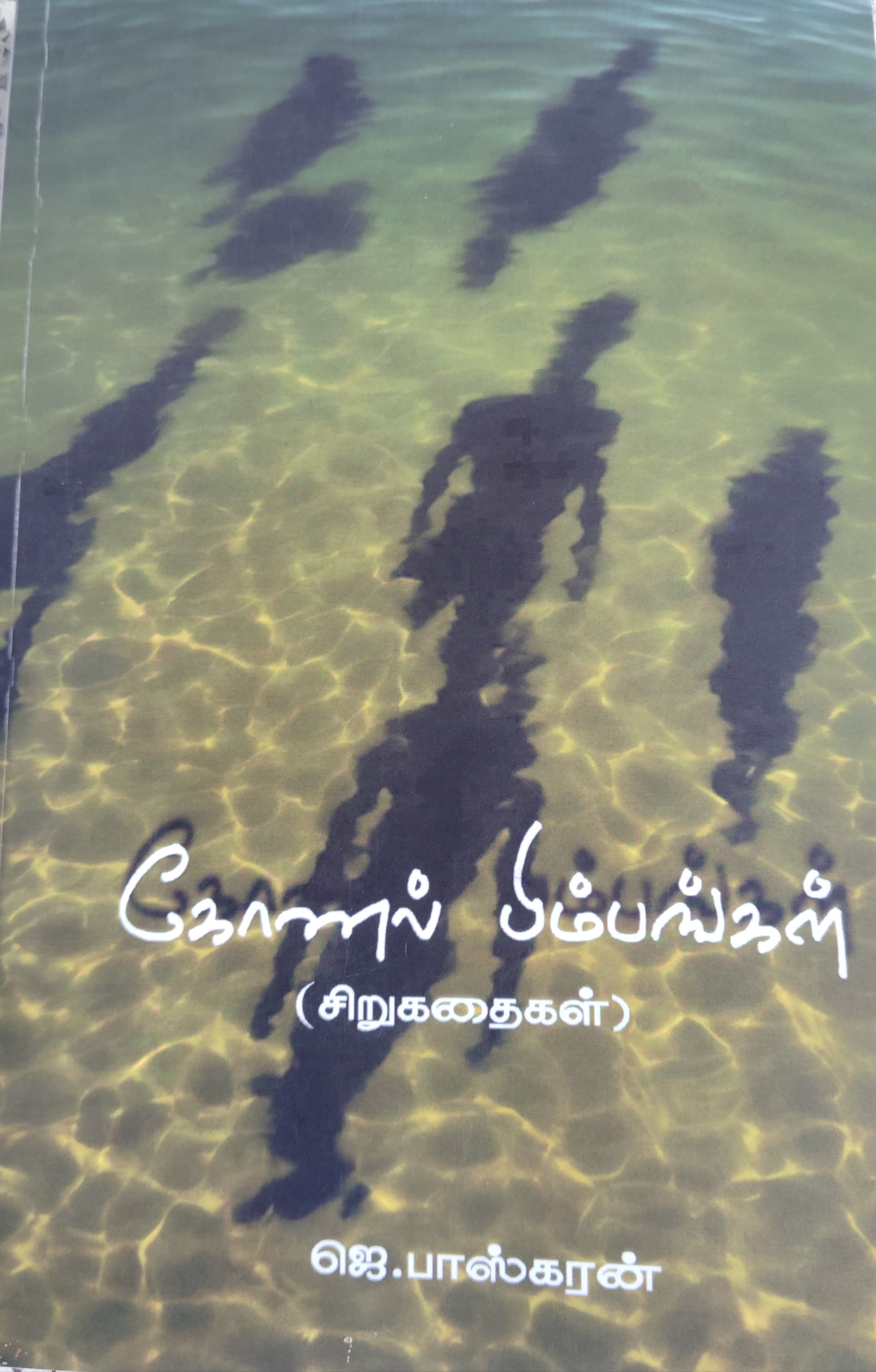 கோணல் பிம்பங்கள்