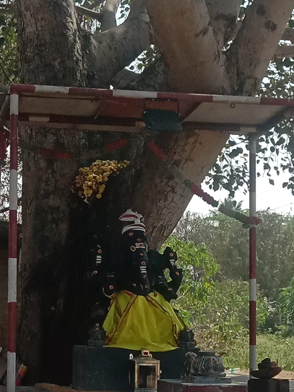 காட்பாடி ஸ்ரீ ராஜகணபதி கோயிலில்   சங்கடஹர சதுர்த்தி விழா கோலாகலம்! 