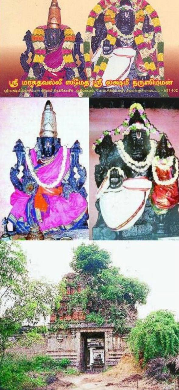 நரசிங்கபுரம் நரசிம்மன்