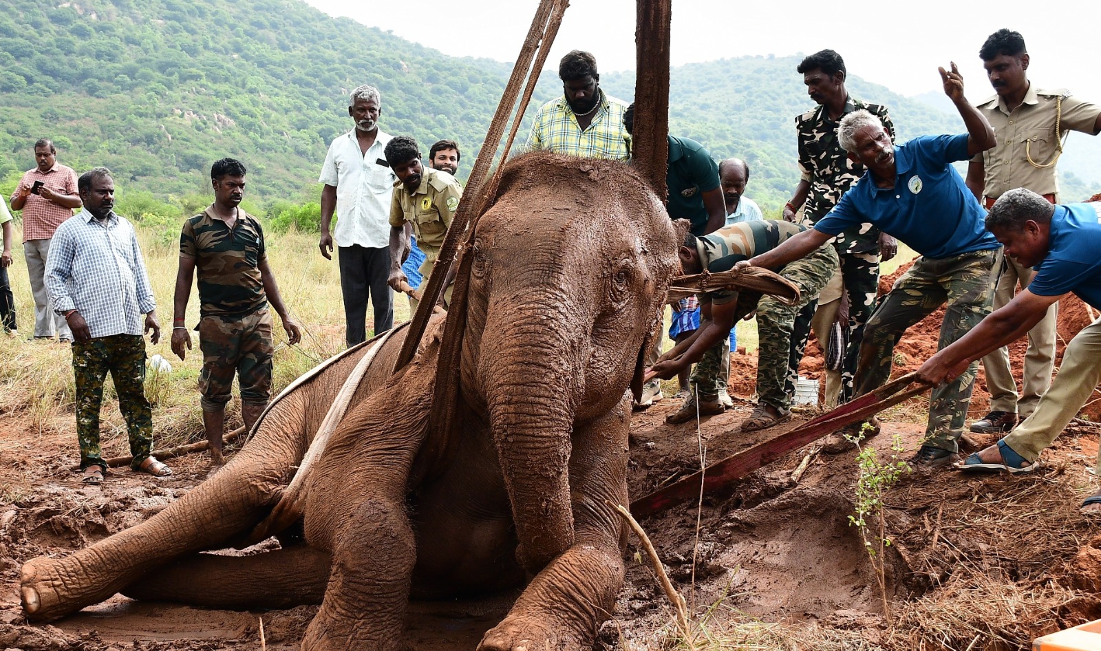 யானையை மீட்டு, வனத்துறையினர் மருத்துவ உதவி