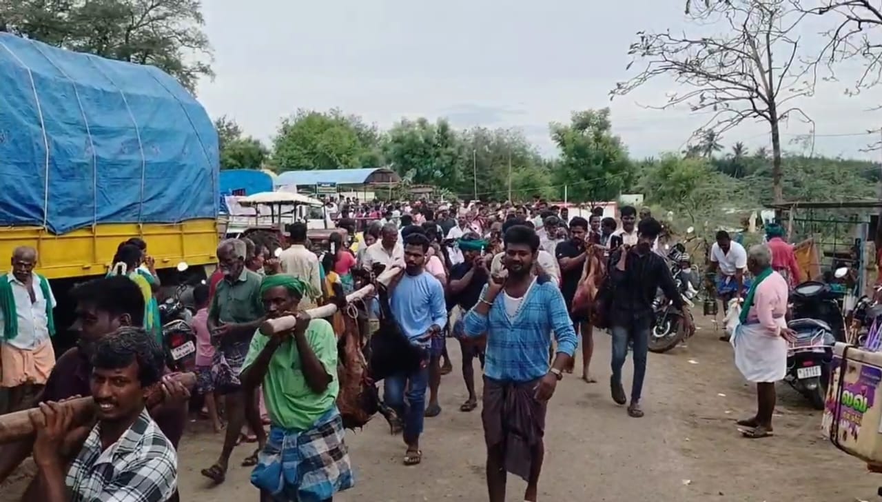குலதெய்வத்துக்கு 500 ஆடு பலியிட்டு விருந்து 