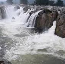 ஒகேனக்கல்லில் இன்று காலை 4 ஆயிரம் கனஅடி நீர்வரத்து குறைவு