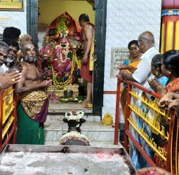 அருள்மிகு சங்கரலிங்கசுவாமி சமேத சங்கரேஸ்வரி அம்மன் கோவிலில் 43-வது ஆண்டு ஆடித்தவசு திருவிழா