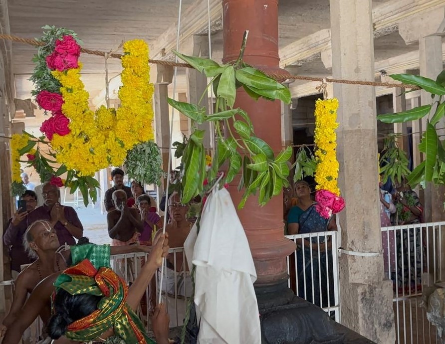 திருக்கோளூர் வைத்தமாநிதி பெருமாள் கோவிலில் ஆவணித் திருவிழா