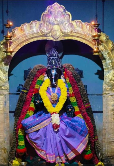 ஸ்ரீ தன ஆகர்ஷண வாராஹி அம்பாள் வண்ண மலர் மாலைகளால் இன்றைய அலங்காரத்தில் அருள் பாலிக்கும் காட்சி