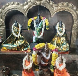 மேல்பாதி ஸ்ரீ விஜராகவ பெருமாளுக்கு சிறப்பு பூஜைகள்