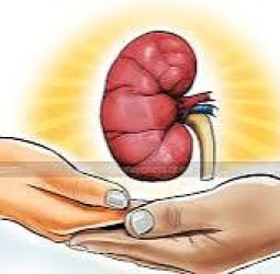 சிறுநீரக முறைகேடு: இரு தனியாா் மருத்துவமனைகளின் சிகிச்சை உரிமம் ரத்து! விசாரணை அறிக்கையின் அடிப்படையில் நடவடிக்கை!