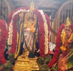 பவித்ரோத்ஸவத்தில் தாயார்களுடன் சிறப்பு அலங்காரத்தில் பெருமாள்