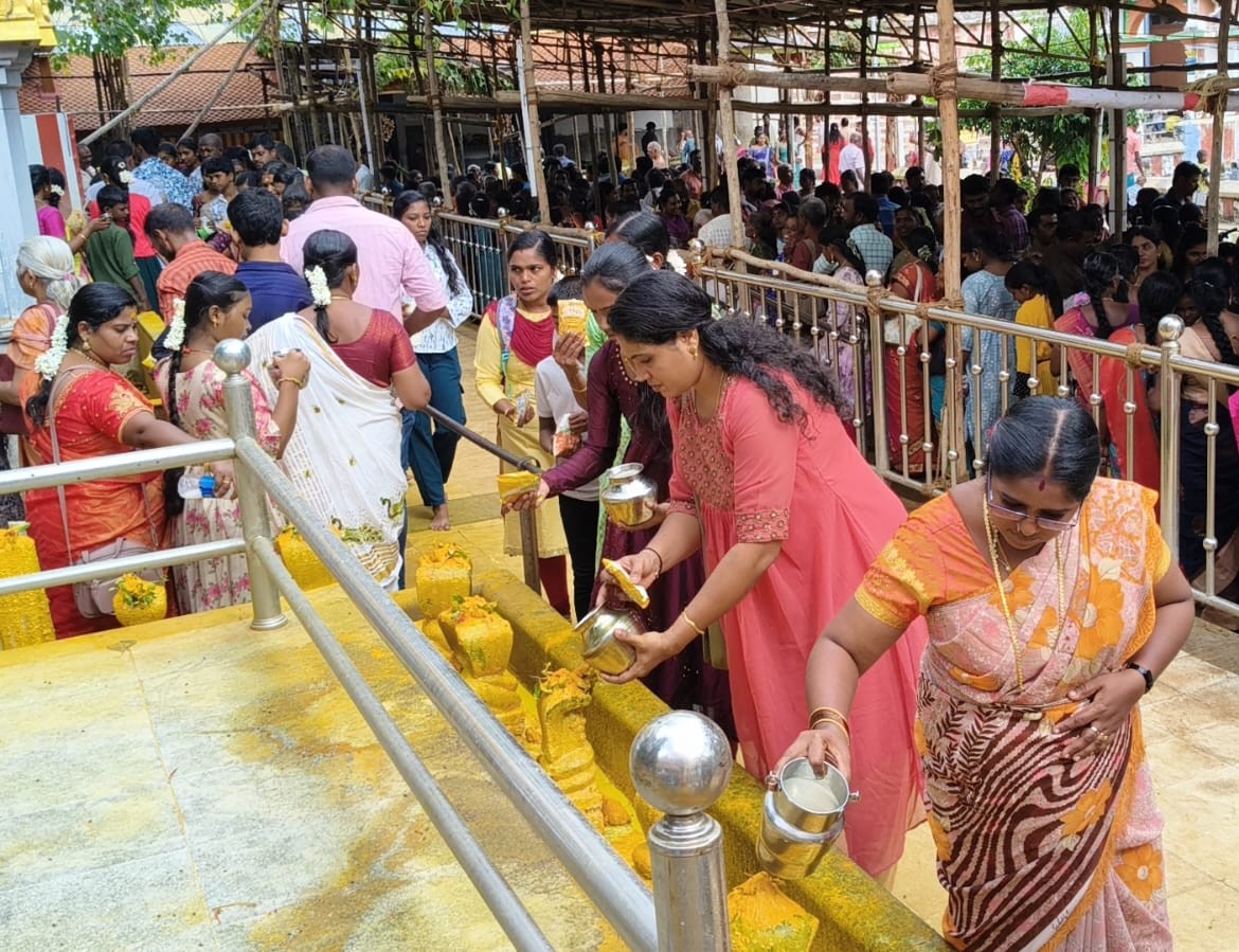 நாகர் சிலைகளுக்கு பக்தர்கள் நீண்ட வரிசையில் நின்று பால் ஊற்றி வழிப்பாடு