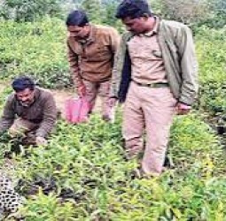 தனி​யார் தேயிலை தோட்​டத்​தில் பெண் சிறுத்தை உடல் மீட்பு