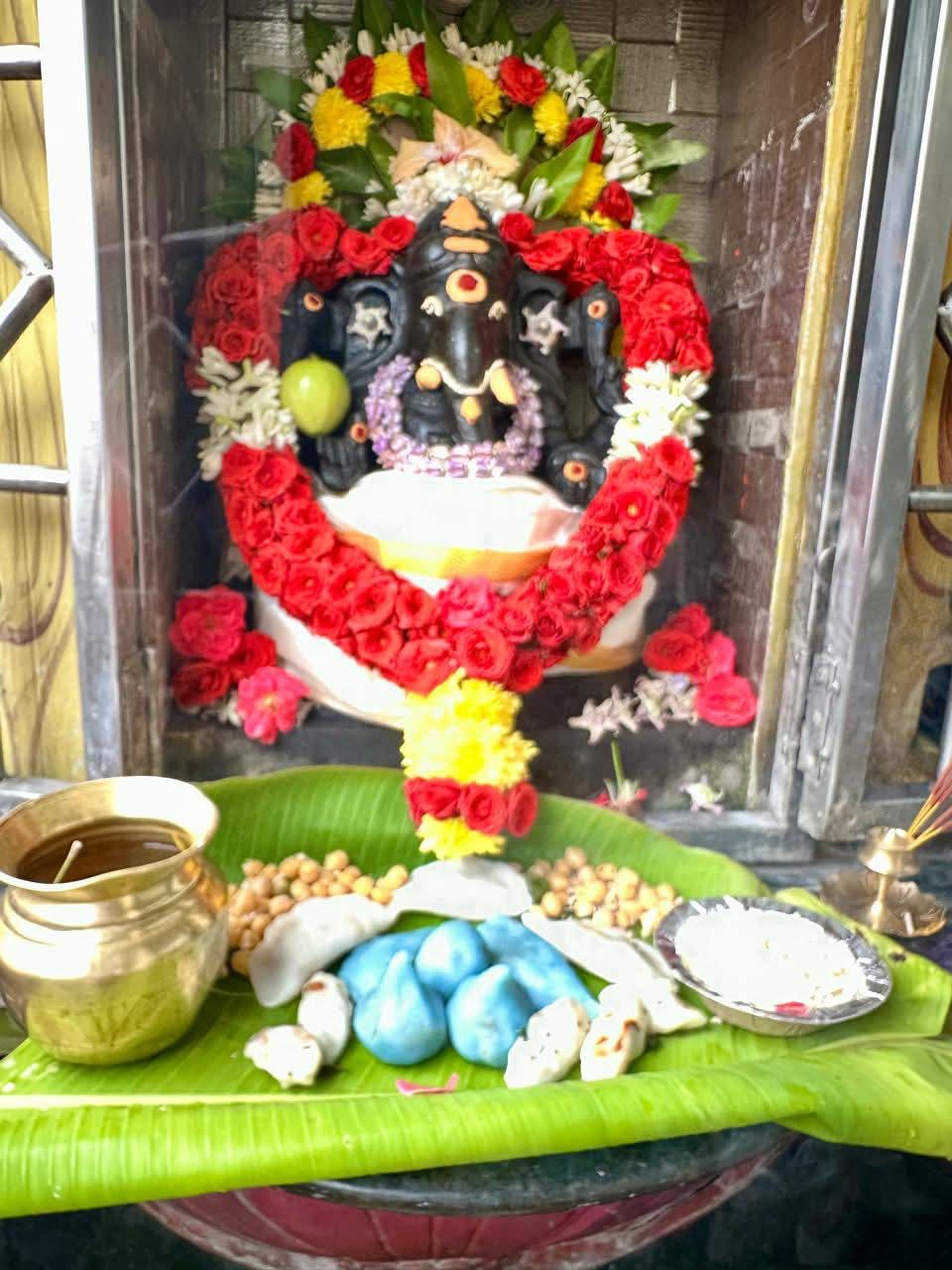 மருத்துவ விநாயகர் சிறப்பு வழிபாடு...