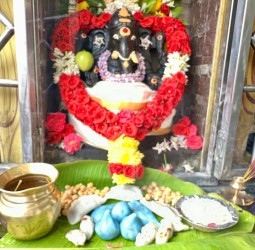 மருத்துவ விநாயகர் சிறப்பு வழிபாடு...