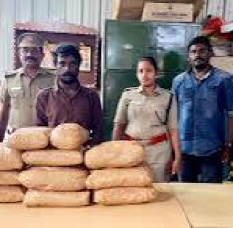 மதுரையில் கஞ்சா கடத்தும் இளைஞர்கள் எண்ணிக்கை அதிகரிப்பு - 3 நாளில் 24 பேர் கைது