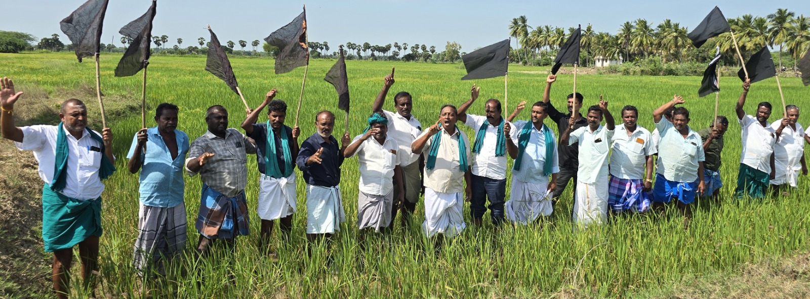 நாகை அருகே விவசாயிகள் நேற்று வயலில் கருப்புக் கொடி ஏந்தி போராட்டம்