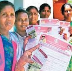 சேலத்தில் ”உங்களுடன் ஸ்டாலின்” திட்ட முகாம்களில் மகளிர் உரிமைத்தொகை கோரி 2,558 பேர் விண்ணப்பம் கலெக்டர் பிருந்தாதேவி தகவல்