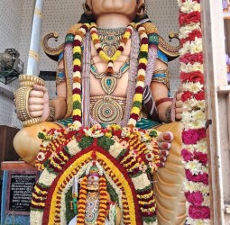 ஊத்தங்கரை மகா முனியப்பன் கோவில் திருவிழா