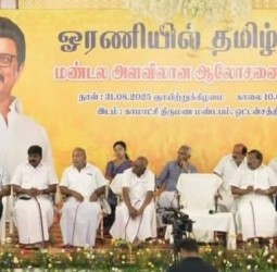 ஒட்டன்சத்திரத்தில் நடந்த மண்டல திமுக ஆலோசனைக் கூட்டம்