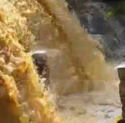 போளூர் வட்டம் ஜவ்வாது மலையில் பீமன் அருவியில் கனமழை காரணமாக வெள்ளப்பெருக்கு