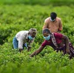 வேளாண் உட்கட்டமைப்பு பணிகளுக்கான வங்கி கடனுக்கு 3 சதம் வட்டி மானியம்: விவசாயிகள் விண்ணப்பிக்க அழைப்பு