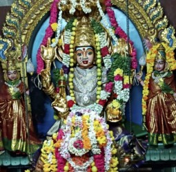 சேராம்பட்டு அருள்மிகு ஸ்ரீ எல்லையம்மனுக்கு ஆடி வெள்ளி வழிபாடு: