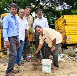 வேலூர் சத்துவாச்சாரியில் பாஜக சார்பில் தூய்மைப் பணி - மரம் நடும் விழா!
