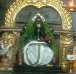 நாகர்கோவில் ஜோசப் கான்வென்ட் தொடக்கப் பள்ளியில் முதலமைச்சரின் காலை உணவு  திட்டம்