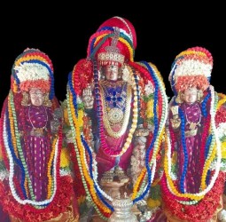 ஸ்ரீ ஸ்தலசயனப்பெருமாள்  திருபவித்ரோற்சவம்