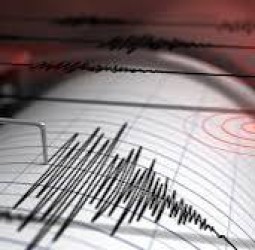 பாகிஸ்தானின் இஸ்லாமாபாத், கைபர் பக்துன்க்வா, பஞ்சாபில் நிலநடுக்கம் - மக்கள் பீதி