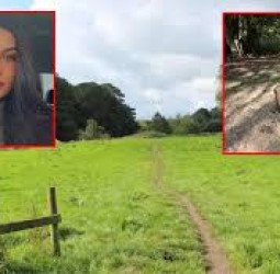 கணவன் கண் முன்னே... பூங்காவில் முறிந்து விழுந்த மரம்; மகளை காப்பாற்றி விட்டு உயிரிழந்த தாய்